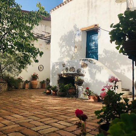 B&B Corte San Lussorio Oliena Exterior foto